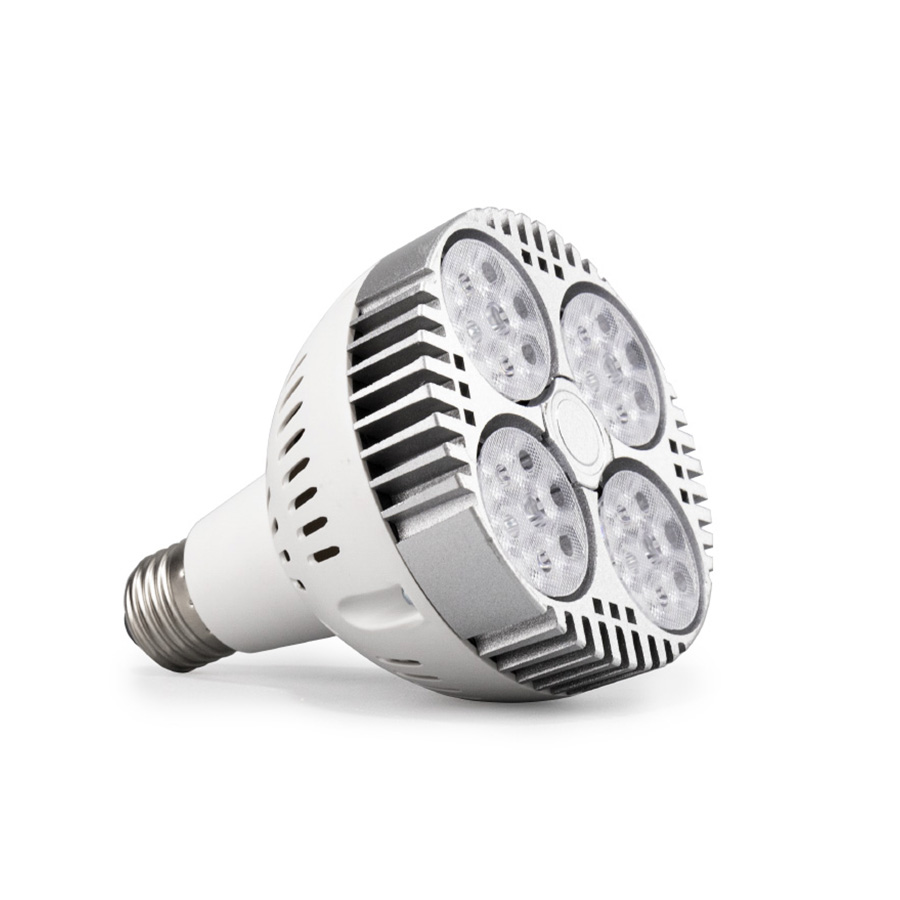 PAR30 Spotlight Bulb-FSSP001