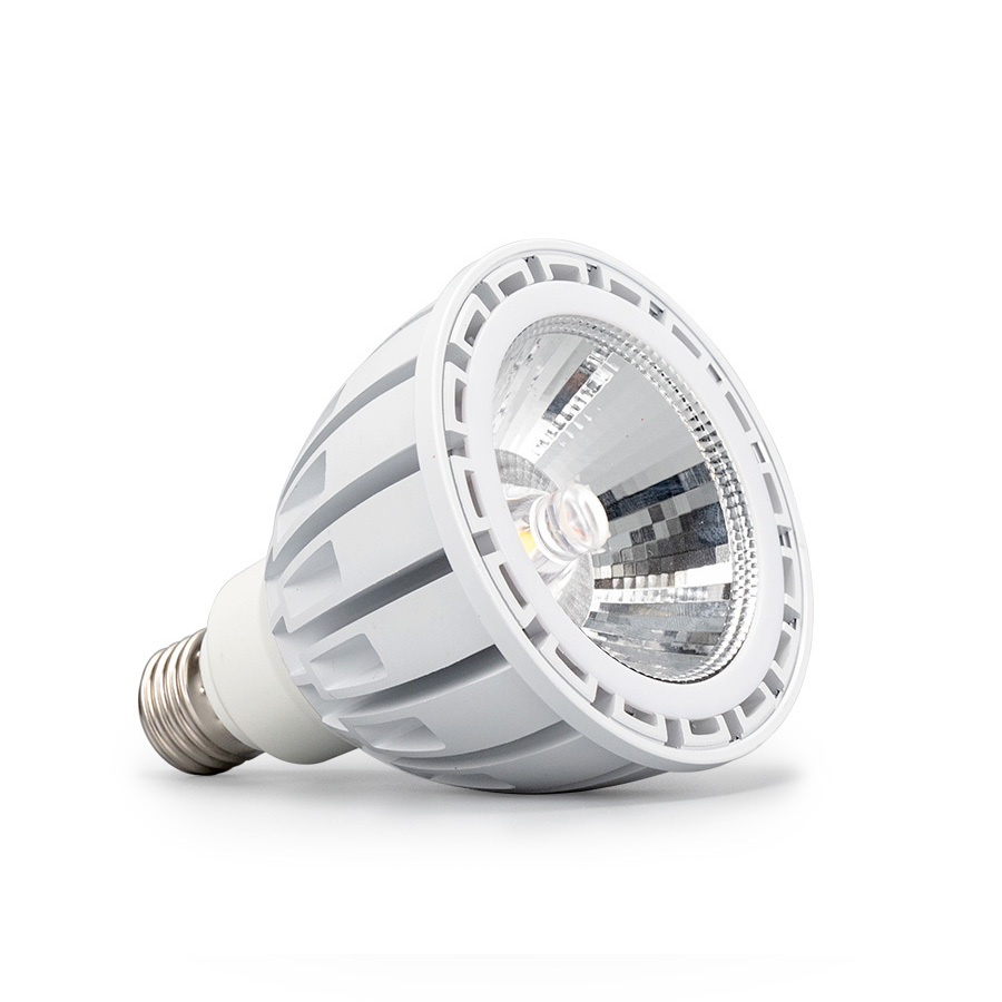 LED PAR30 Spotlight-HMSP006